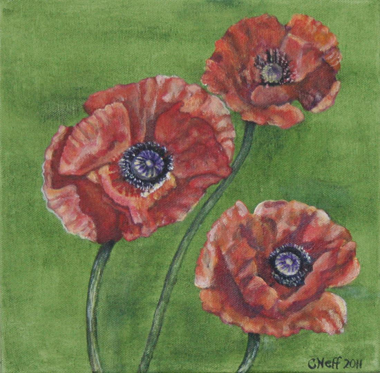 poppies3